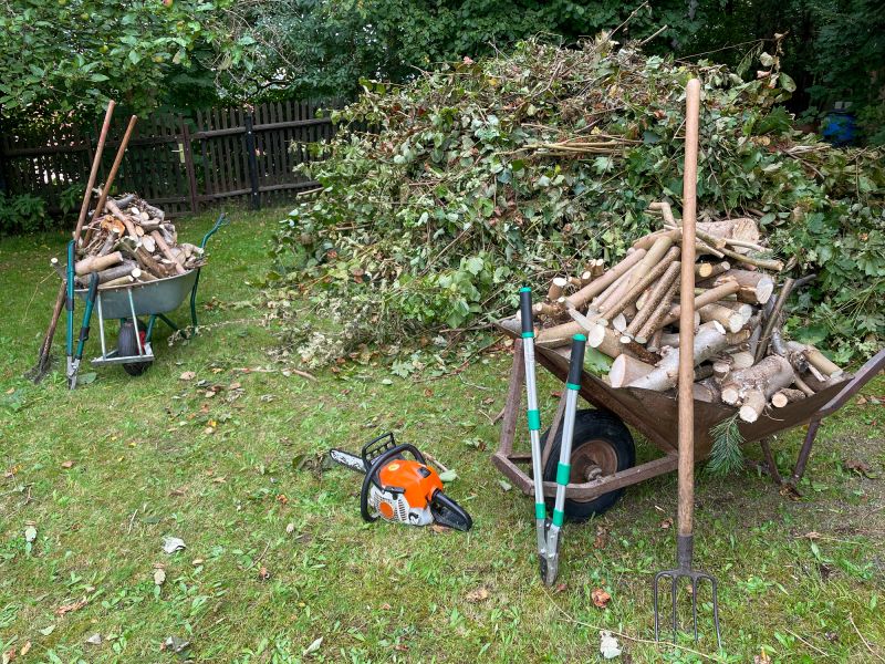 Clearing Yard After Removal